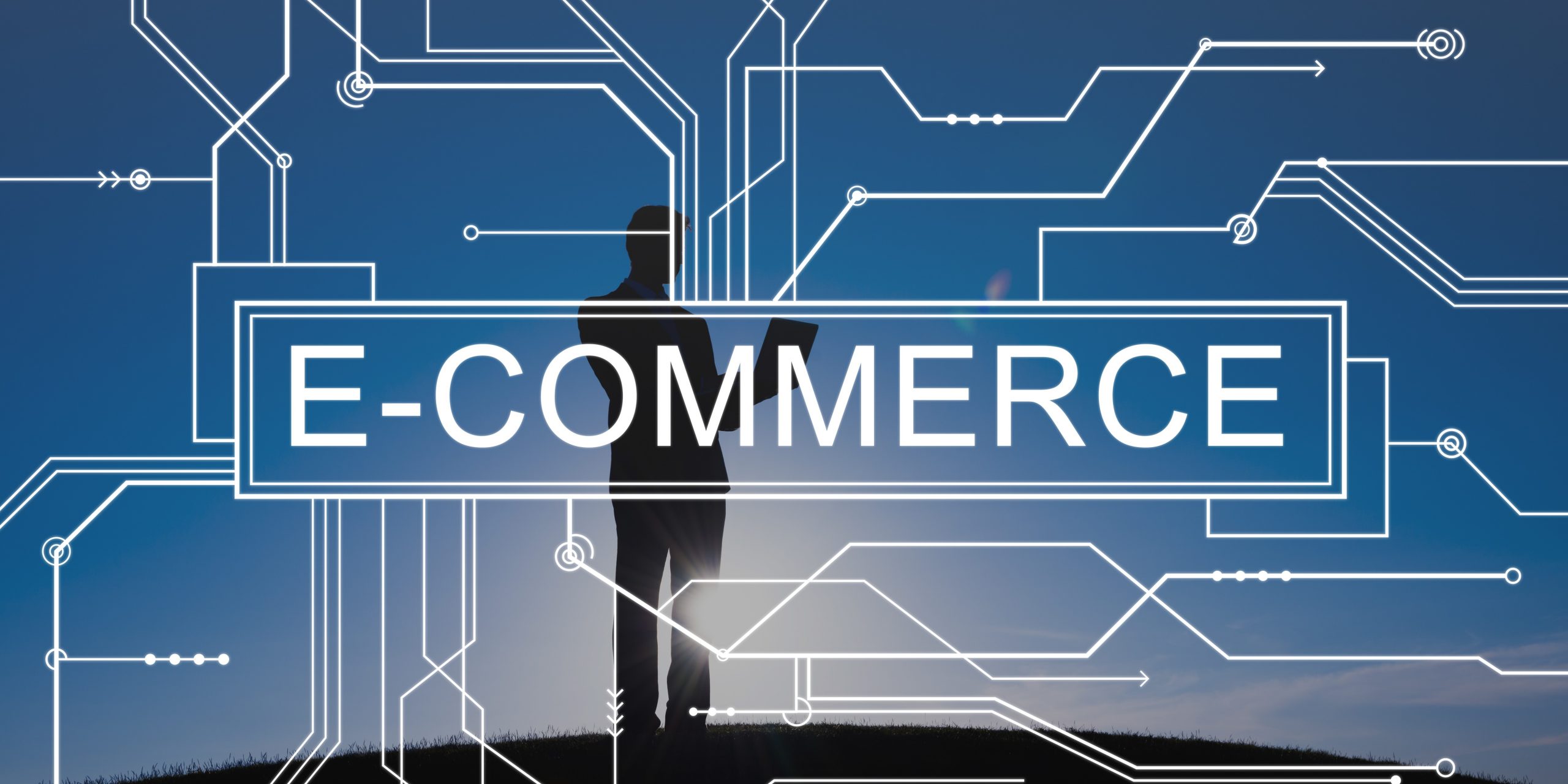 Leia mais sobre o artigo E-commerce